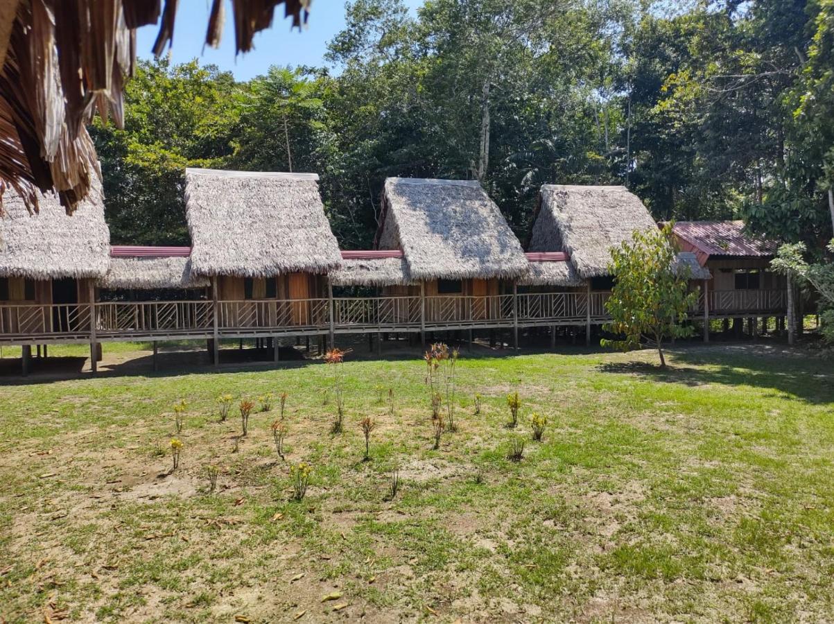Intillama Jungle Lodge Eirl Paucarpata  Ngoại thất bức ảnh