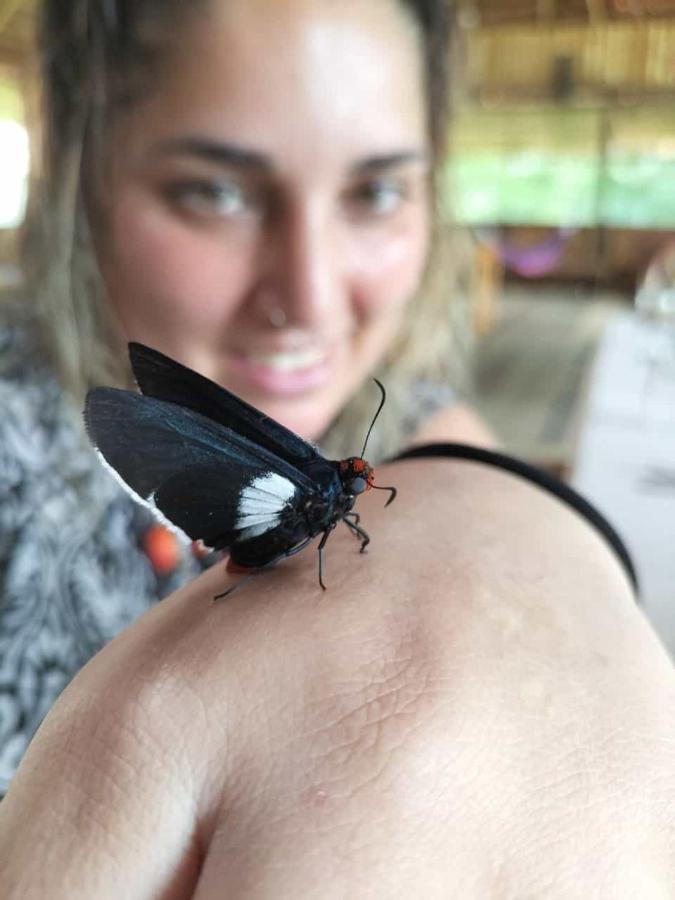 Intillama Jungle Lodge Eirl Paucarpata  Ngoại thất bức ảnh