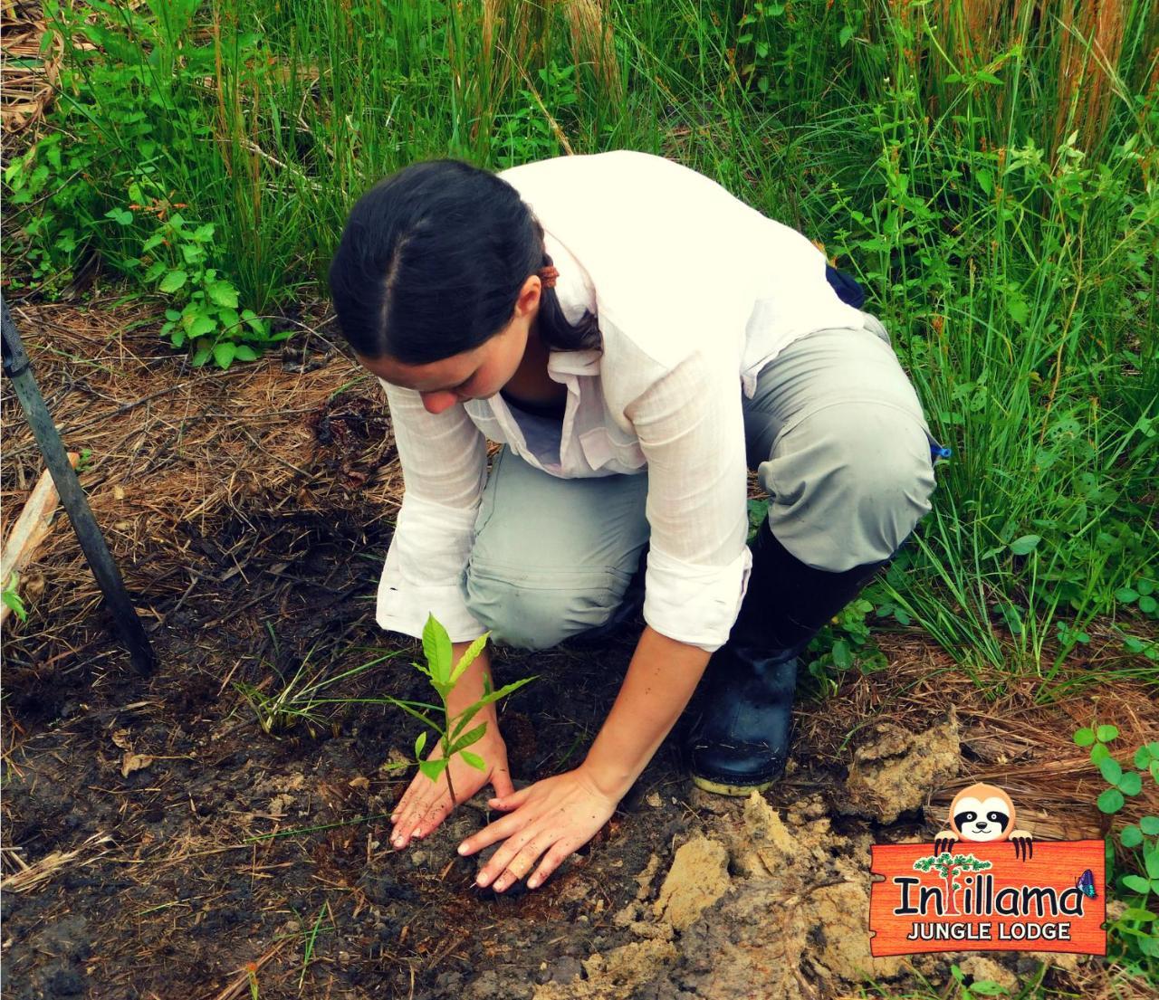 Intillama Jungle Lodge Eirl Paucarpata  Ngoại thất bức ảnh