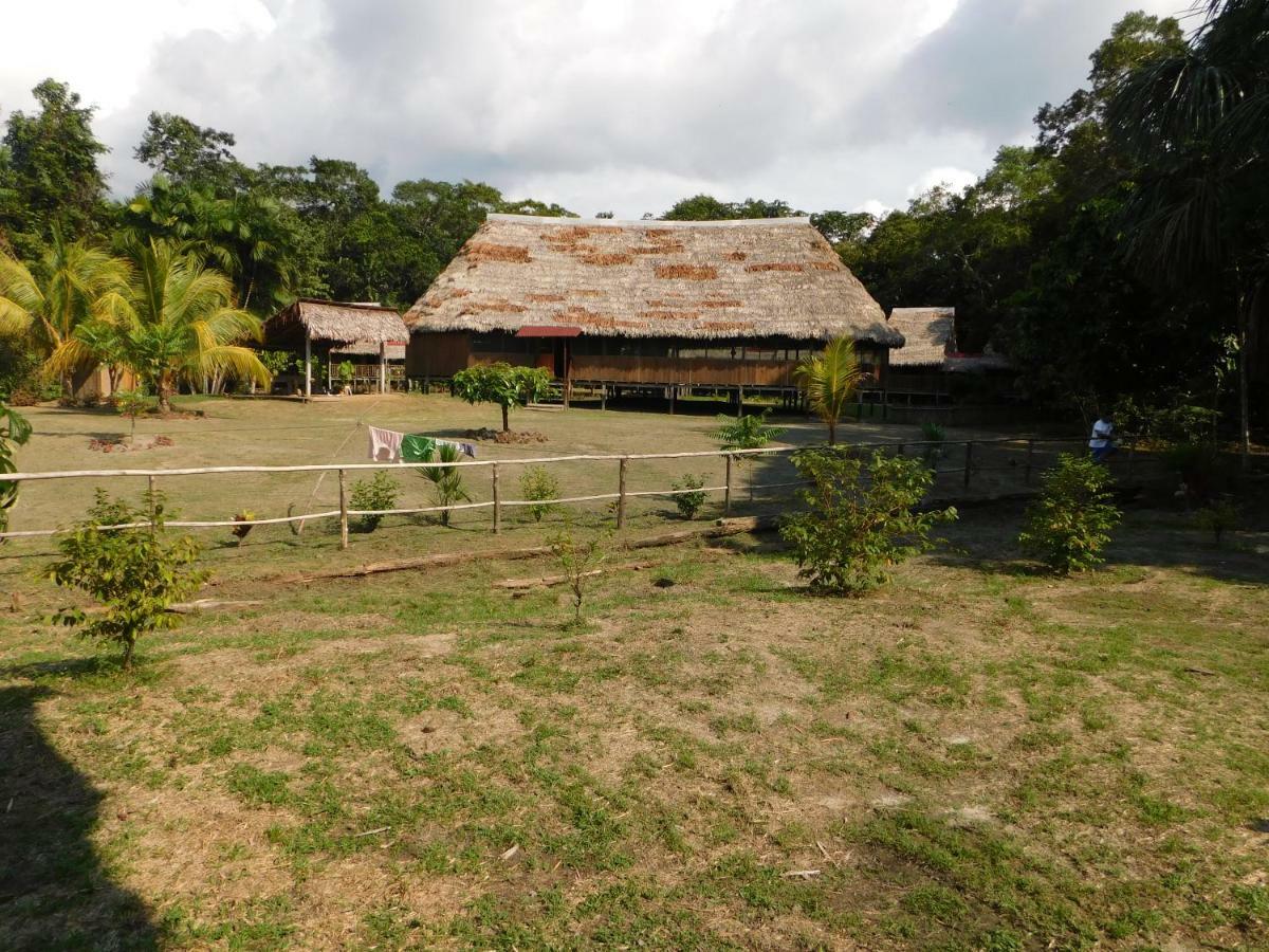 Intillama Jungle Lodge Eirl Paucarpata  Ngoại thất bức ảnh