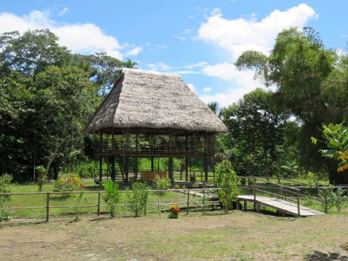 Intillama Jungle Lodge Eirl Paucarpata  Ngoại thất bức ảnh