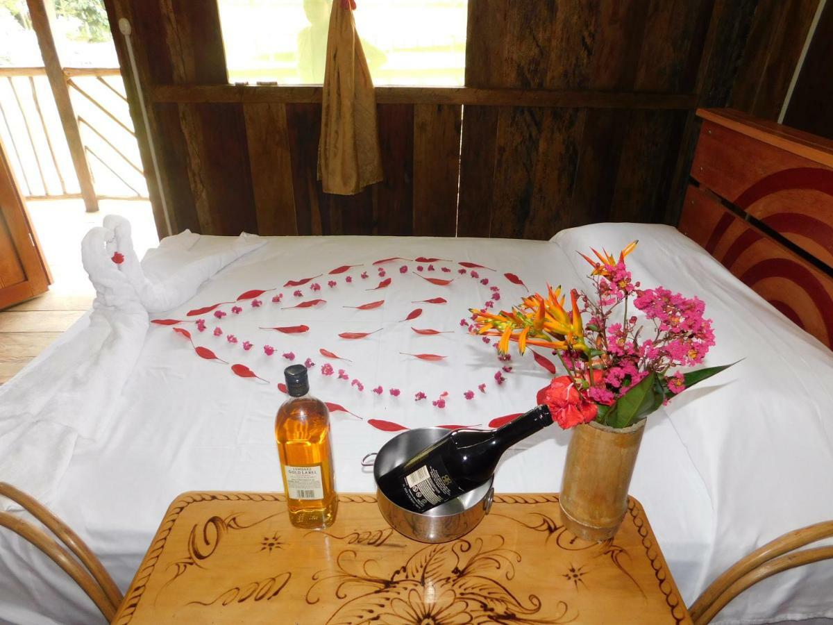 Intillama Jungle Lodge Eirl Paucarpata  Ngoại thất bức ảnh