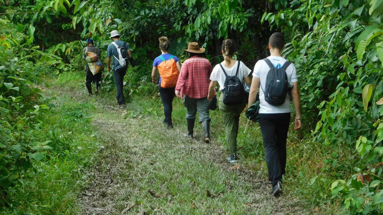 Intillama Jungle Lodge Eirl Paucarpata  Ngoại thất bức ảnh
